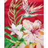 imageKYKU Hawaiian Shirt for Men Beach Vacation Summer Short Sleeve Button Down Mens Shirts Casual StylishRed Hawaiian Men Button Down Shirt