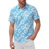 Sky Blue White Hibiscus