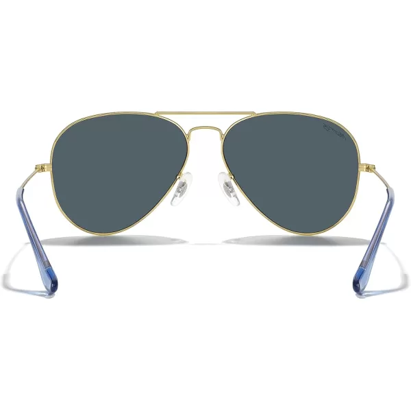 MERRYS Classic Polarized Aviator Sunglasses for Men Women S6025Polished Gold FrameBlue Lens