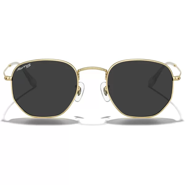 MERRYS Classic Polarized Sunglasses for Women Men Vintage Polygon Square Shades S6548Polished Gold FrameBlack Lens
