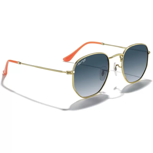MERRYS Classic Polarized Sunglasses for Women Men Vintage Polygon Square Shades S6548Polished Gold FrameBlue Gradient Lens