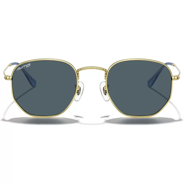 MERRYS Classic Polarized Sunglasses for Women Men Vintage Polygon Square Shades S6548Polished Gold FrameBlue Lens