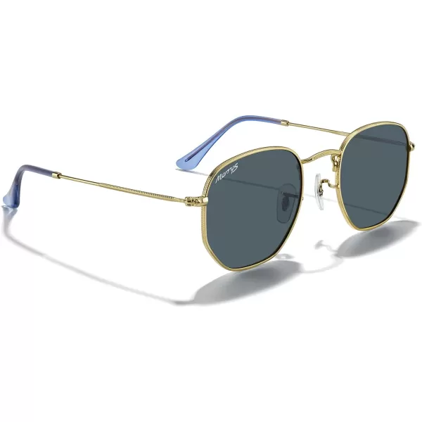 MERRYS Classic Polarized Sunglasses for Women Men Vintage Polygon Square Shades S6548Polished Gold FrameBlue Lens