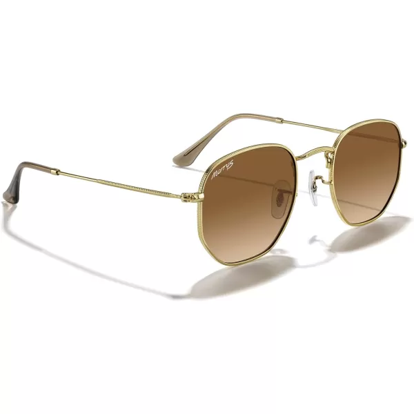 MERRYS Classic Polarized Sunglasses for Women Men Vintage Polygon Square Shades S6548Polished Gold FrameBrown Gradient Lens