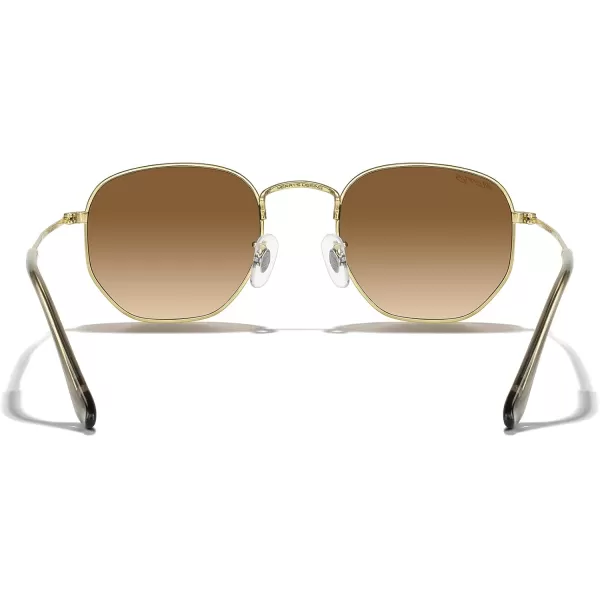 MERRYS Classic Polarized Sunglasses for Women Men Vintage Polygon Square Shades S6548Polished Gold FrameBrown Gradient Lens