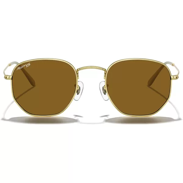 MERRYS Classic Polarized Sunglasses for Women Men Vintage Polygon Square Shades S6548Polished Gold FrameBrown Lens