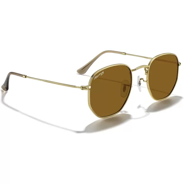 MERRYS Classic Polarized Sunglasses for Women Men Vintage Polygon Square Shades S6548Polished Gold FrameBrown Lens