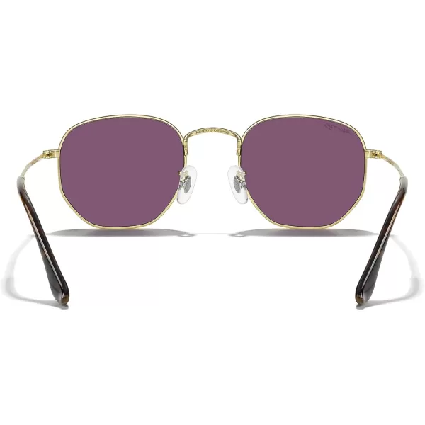 MERRYS Classic Polarized Sunglasses for Women Men Vintage Polygon Square Shades S6548Polished Gold FrameGreen Mirror Lens