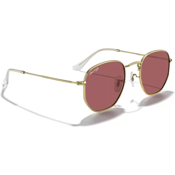 MERRYS Classic Polarized Sunglasses for Women Men Vintage Polygon Square Shades S6548Polished Gold FrameViolet Lens
