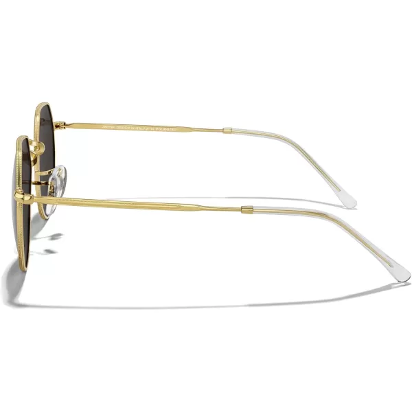 MERRYS Round Polygon Metal Polarized Sunglasses for Women Men Retro Classic Vintage Shades S6565Polished Gold FrameBlack Lens