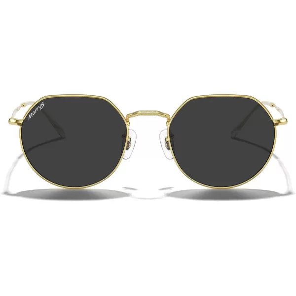 MERRYS Round Polygon Metal Polarized Sunglasses for Women Men Retro Classic Vintage Shades S6565Polished Gold FrameBlack Lens