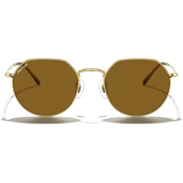 MERRYS Round Polygon Metal Polarized Sunglasses for Women Men Retro Classic Vintage Shades S6565Polished Gold FrameBrown Lens