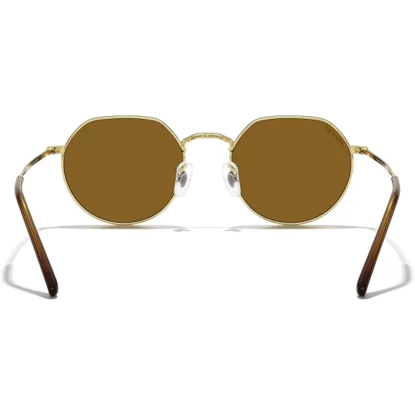 MERRYS Round Polygon Metal Polarized Sunglasses for Women Men Retro Classic Vintage Shades S6565Polished Gold FrameBrown Lens