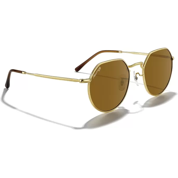 MERRYS Round Polygon Metal Polarized Sunglasses for Women Men Retro Classic Vintage Shades S6565Polished Gold FrameBrown Lens