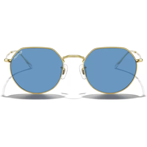 MERRYS Round Polygon Metal Polarized Sunglasses for Women Men Retro Classic Vintage Shades S6565Polished Gold FrameLight Blue Lens
