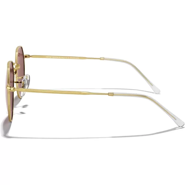 MERRYS Round Polygon Metal Polarized Sunglasses for Women Men Retro Classic Vintage Shades S6565Polished Gold FrameViolet Lens