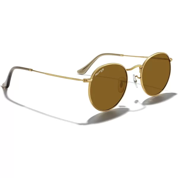 MERRYS Trendy Round Metal Polarized Sunglasses for Women and Men Retro Classic Vintage Shades S6447Polished Gold FrameBrown Lens