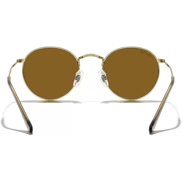 MERRYS Trendy Round Metal Polarized Sunglasses for Women and Men Retro Classic Vintage Shades S6447Polished Gold FrameBrown Lens