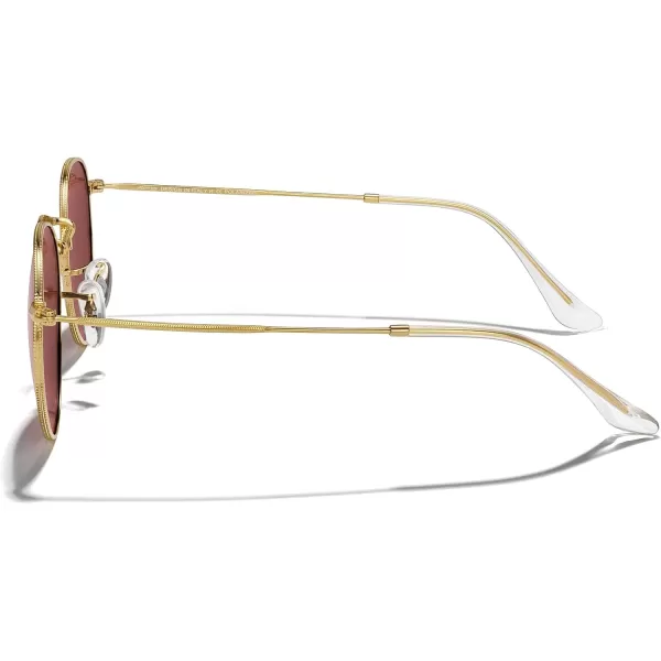 MERRYS Trendy Round Metal Polarized Sunglasses for Women and Men Retro Classic Vintage Shades S6447Polished Gold FrameViolet Lens