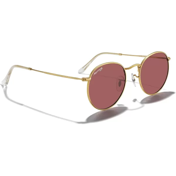 MERRYS Trendy Round Metal Polarized Sunglasses for Women and Men Retro Classic Vintage Shades S6447Polished Gold FrameViolet Lens