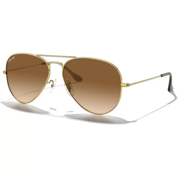 MERRYS Classic Polarized Aviator Sunglasses for Men Women S6025Polished Gold FrameBrown Gradient Lens