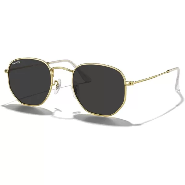 MERRYS Classic Polarized Sunglasses for Women Men Vintage Polygon Square Shades S6548Polished Gold FrameBlack Lens
