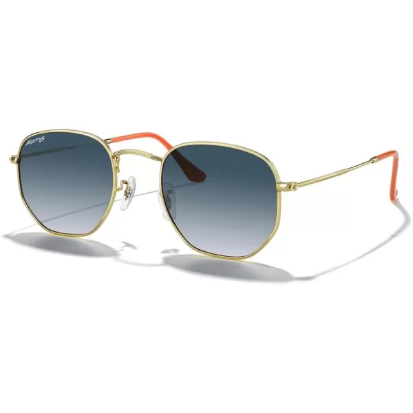 MERRYS Classic Polarized Sunglasses for Women Men Vintage Polygon Square Shades S6548Polished Gold FrameBlue Gradient Lens