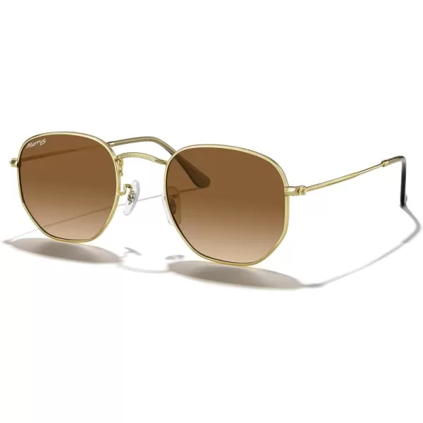 MERRYS Classic Polarized Sunglasses for Women Men Vintage Polygon Square Shades S6548Polished Gold FrameBrown Gradient Lens
