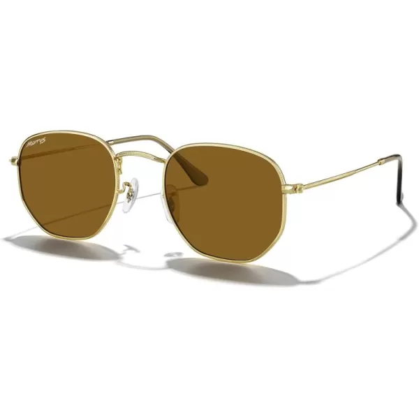 MERRYS Classic Polarized Sunglasses for Women Men Vintage Polygon Square Shades S6548Polished Gold FrameBrown Lens