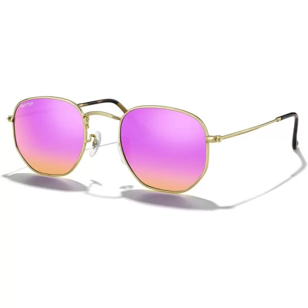 MERRYS Classic Polarized Sunglasses for Women Men Vintage Polygon Square Shades S6548Polished Gold FrameCyclamen Lens