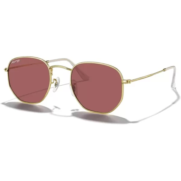 MERRYS Classic Polarized Sunglasses for Women Men Vintage Polygon Square Shades S6548Polished Gold FrameViolet Lens