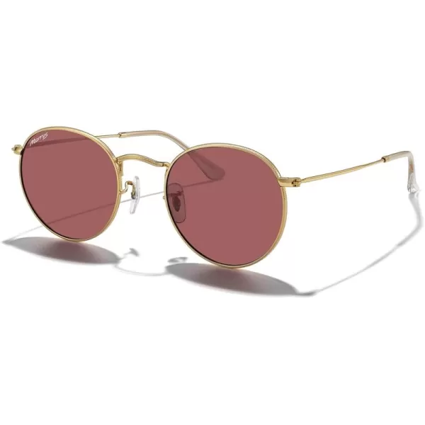 MERRYS Trendy Round Metal Polarized Sunglasses for Women and Men Retro Classic Vintage Shades S6447Polished Gold FrameViolet Lens