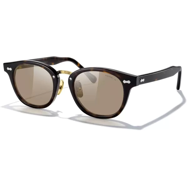 MERRYS Oval Combination Acetate Metal Unisex Sunglasses for Men WomenLeopard FrameBrown Lens