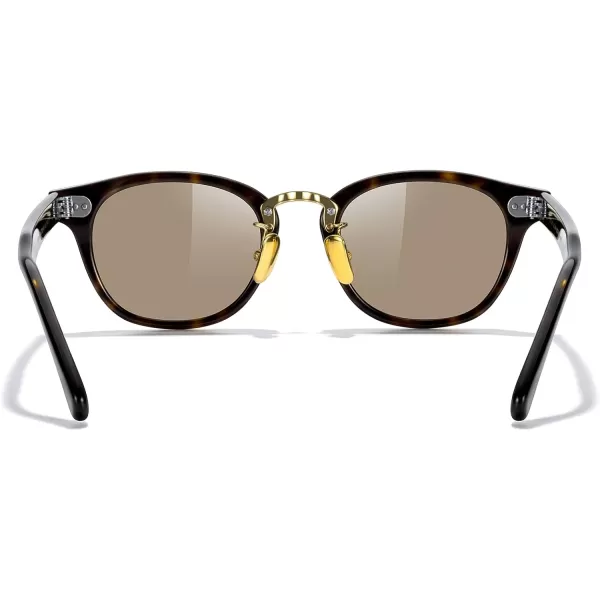 MERRYS Oval Combination Acetate Metal Unisex Sunglasses for Men WomenLeopard FrameBrown Lens