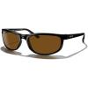 Bright Black Frame/Brown Polarized Lens