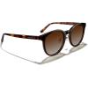 imageMERRYS Modern Women Lady Acetate Oval Round Polarized UV400 Sunglasses S6192Leopard FrameBrown Gradient Lens
