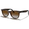 Matte Leopard Frame/Brown Gradient Lens
