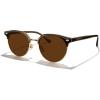 Brown Frame/Gold Bridge/Brown Lens