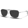 Matte Chrome Frame/Black Polarized Lens