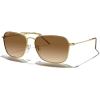 Polished Gold Frame/Brown Gradient Polarized Lens
