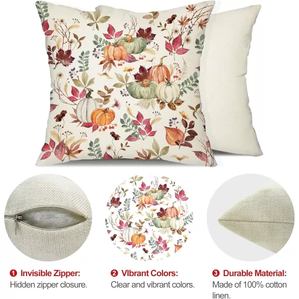 DFXSZ Fall Pillow Covers 18x18 inch Set of 2 Pumpkin Maple Leaf Flower Decorative Throw Pillow Covers Autumn Thanksgiving Farmhouse Decoration for Home couchWhite