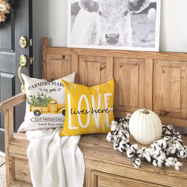 DFXSZ Farmhouse Pillow Covers 18x18 Set of 4Eucalyptus Leaves Decorations Truck Vase Home Sweet Home Linen Cushion Case Gifts for Home DecorB