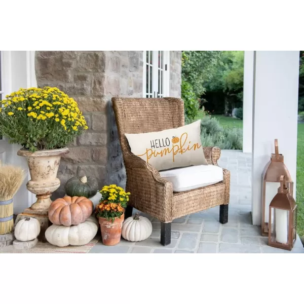 DFXSZ Fall Pillow Covers 12x20 inch Linen Autumn Hello Pumpkin Throw Pillow Covers for Sofa Bedroom Outdoor Farmhosue Cushion Home DecorationB5