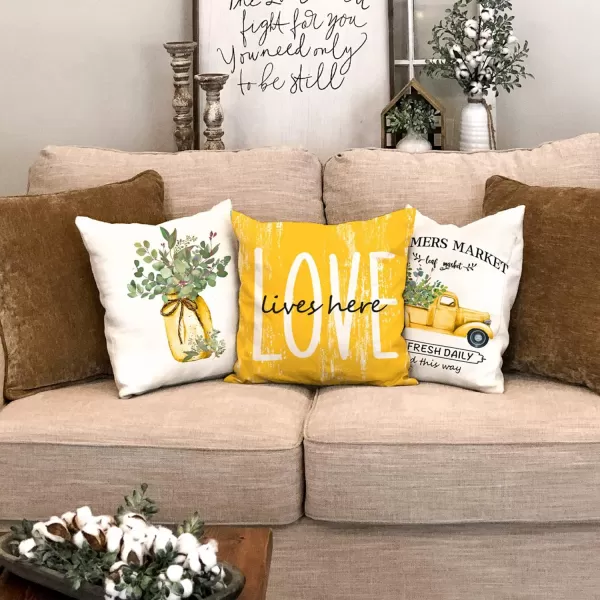 DFXSZ Farmhouse Pillow Covers 16x16 Set of 4Eucalyptus Leaves Decorations Truck Vase Home Sweet Home Linen Cushion Case Gifts for Home DecorB