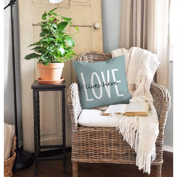 DFXSZ Farmhouse Pillow Covers 16x16 Set of 4Eucalyptus Leaves Decorations Truck Vase Home Sweet Home Linen Cushion Case Gifts for Home DecorD