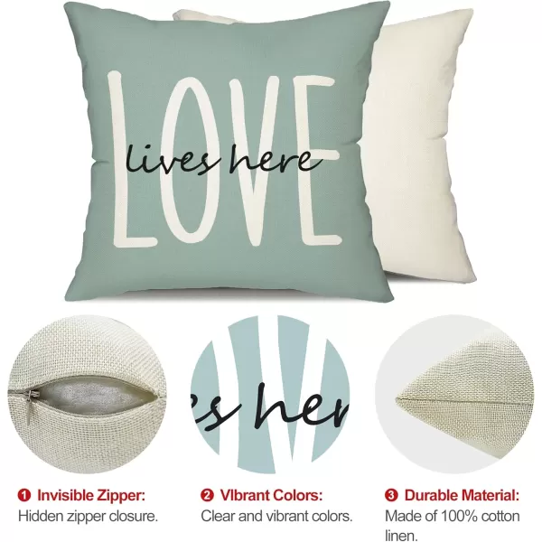 DFXSZ Farmhouse Pillow Covers 16x16 Set of 4Eucalyptus Leaves Decorations Truck Vase Home Sweet Home Linen Cushion Case Gifts for Home DecorD