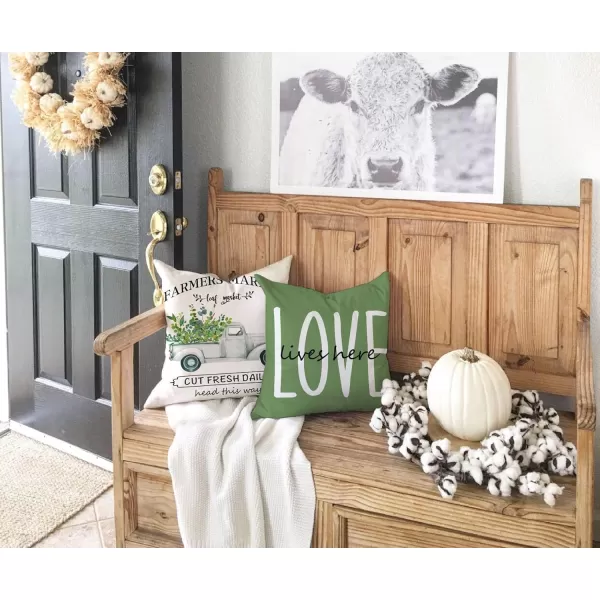 DFXSZ Farmhouse Pillow Covers 16x16 Set of 4Eucalyptus Leaves Decorations Truck Vase Home Sweet Home Linen Cushion Case Gifts for Home DecorE