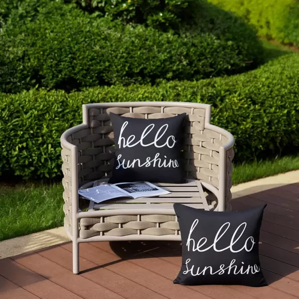DFXSZ Outdoor Pillow Covers 18x18 Inch Set of 2 Hello Sunshine Decor Orange Waterproof Throw Pillow Covers Fall Outdoor Waterproof Pillow Covers Decor for Patio Funiture Garden Sofa Couch 021CBlack
