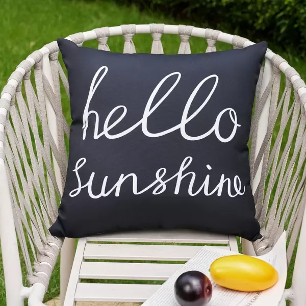 DFXSZ Outdoor Pillow Covers 18x18 Inch Set of 2 Hello Sunshine Decor Orange Waterproof Throw Pillow Covers Fall Outdoor Waterproof Pillow Covers Decor for Patio Funiture Garden Sofa Couch 021CBlack