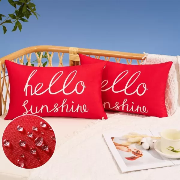 DFXSZ Outdoor Pillow Covers 18x18 Inch Set of 2 Hello Sunshine Decor Orange Waterproof Throw Pillow Covers Fall Outdoor Waterproof Pillow Covers Decor for Patio Funiture Garden Sofa Couch 021CRed